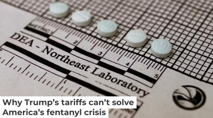 Small but powerful – and potentially deadly. Don Emmert/AFP via Getty Images